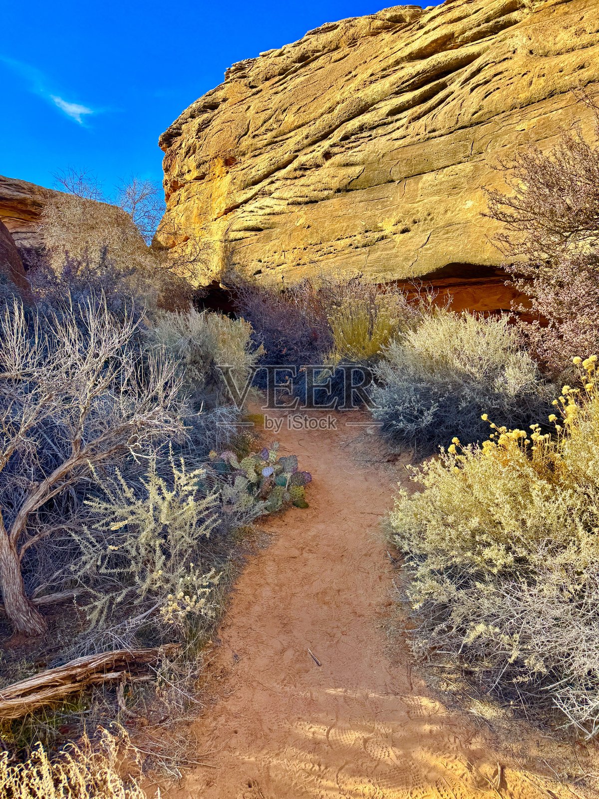 峡谷地国家公园照片摄影图片