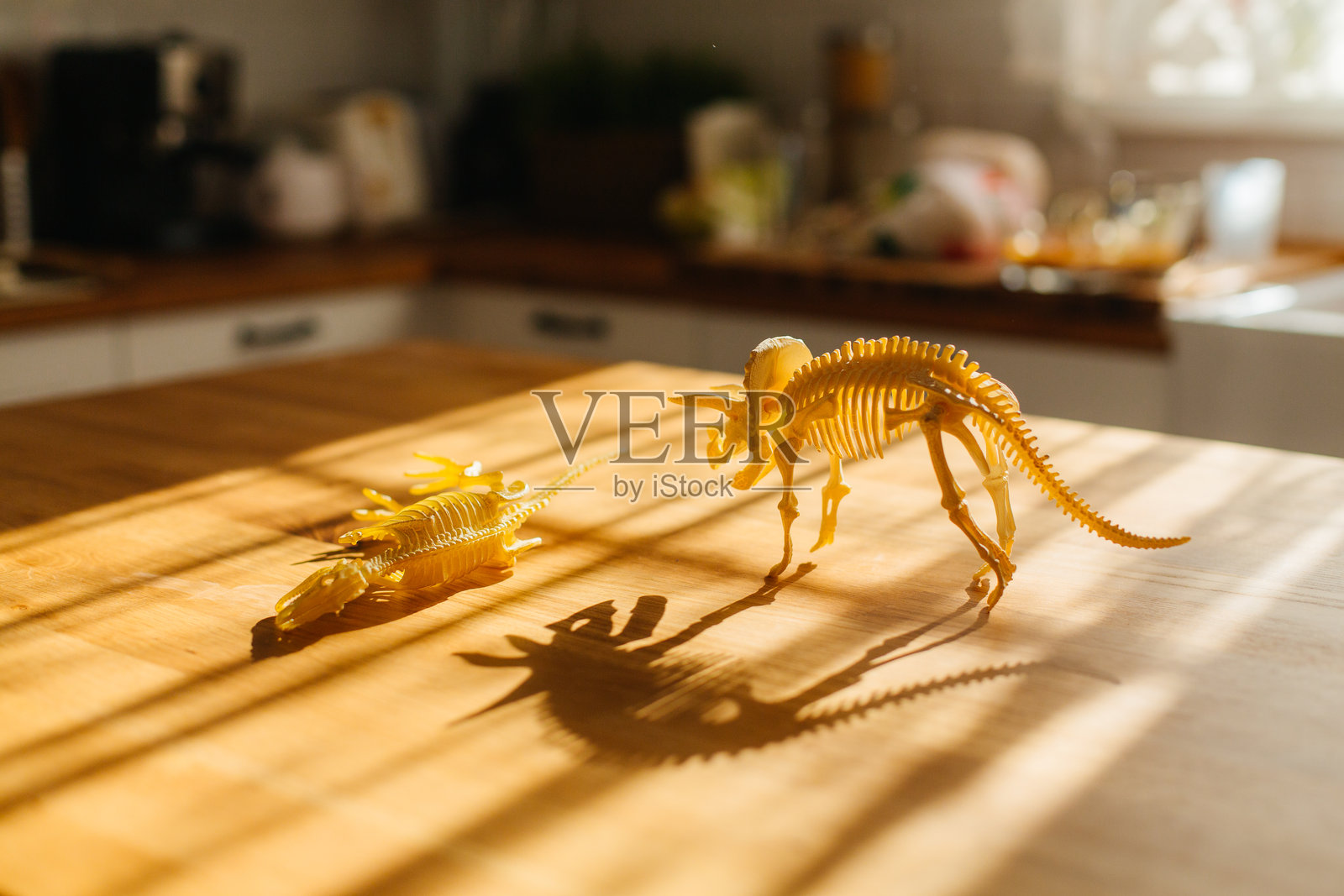 恐龙骨架玩具在阳光照射的厨房岛上投下阴影照片摄影图片