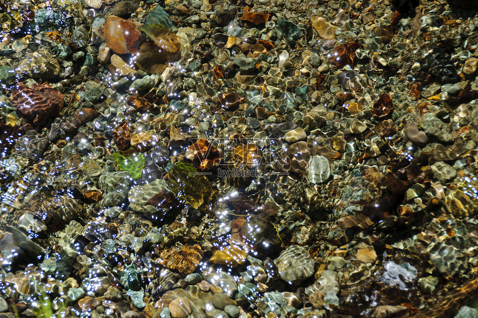 溪流的闪耀。日本青森照片摄影图片