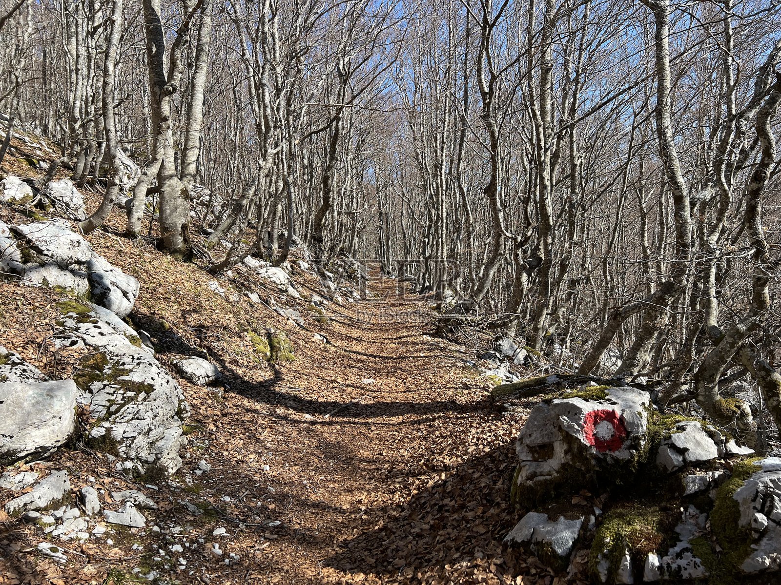 普雷穆齐克徒步小径 - 克罗地亚北维莱比特国家公园照片摄影图片