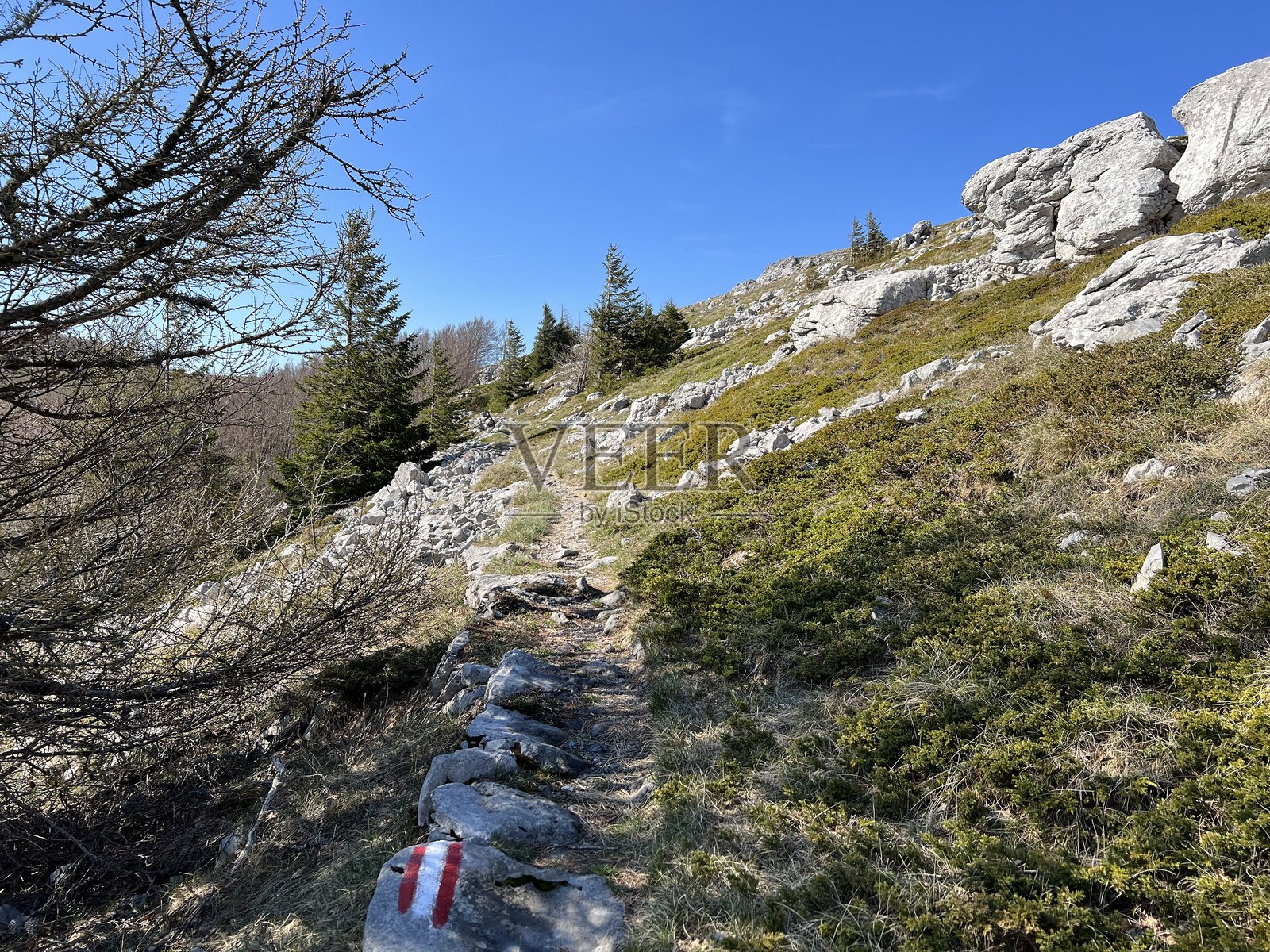 普雷穆齐克徒步小径 - 克罗地亚北维莱比特国家公园照片摄影图片