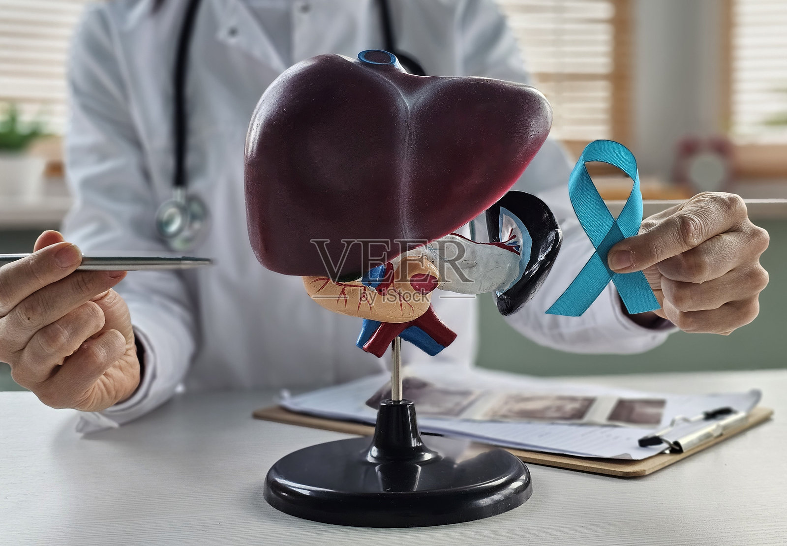 健康工作者手持肝脏模型和青绿色丝带,以提高对肝病和肿瘤癌症的认识照片摄影图片