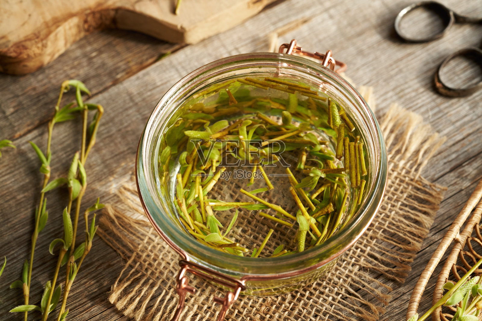 从早春收获的嫩芽和嫩叶的新鲜柳树枝条中制备宝石治疗草药酊剂照片摄影图片