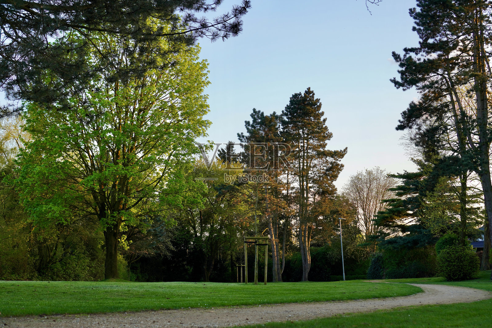 从公园看,绿草如茵,绿树成荫照片摄影图片