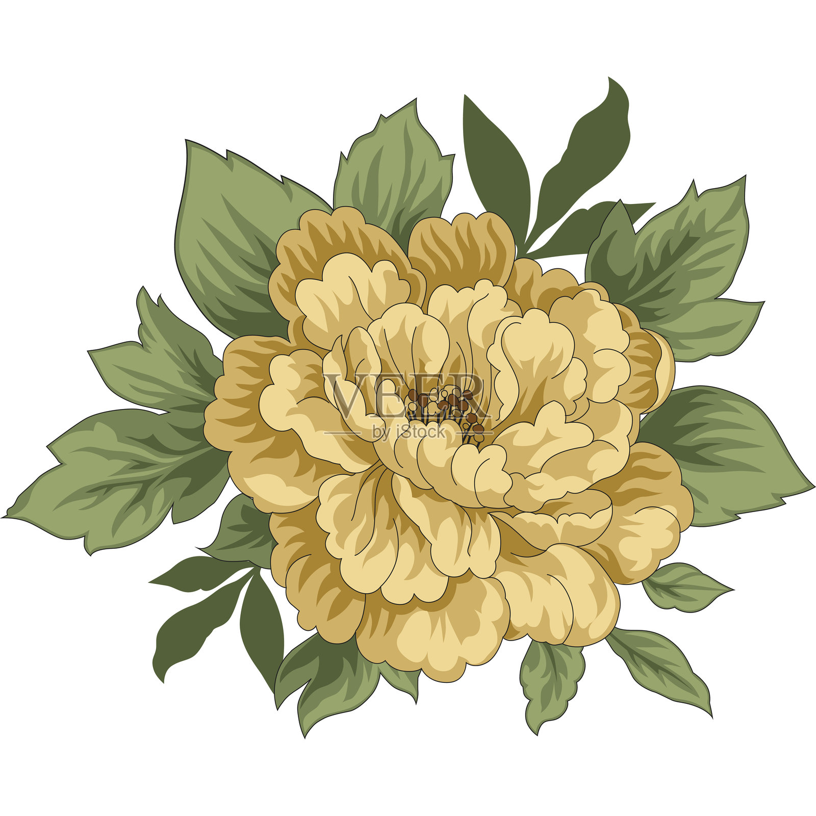 盛开的黄色牡丹矢量花卉插图插画图片素材