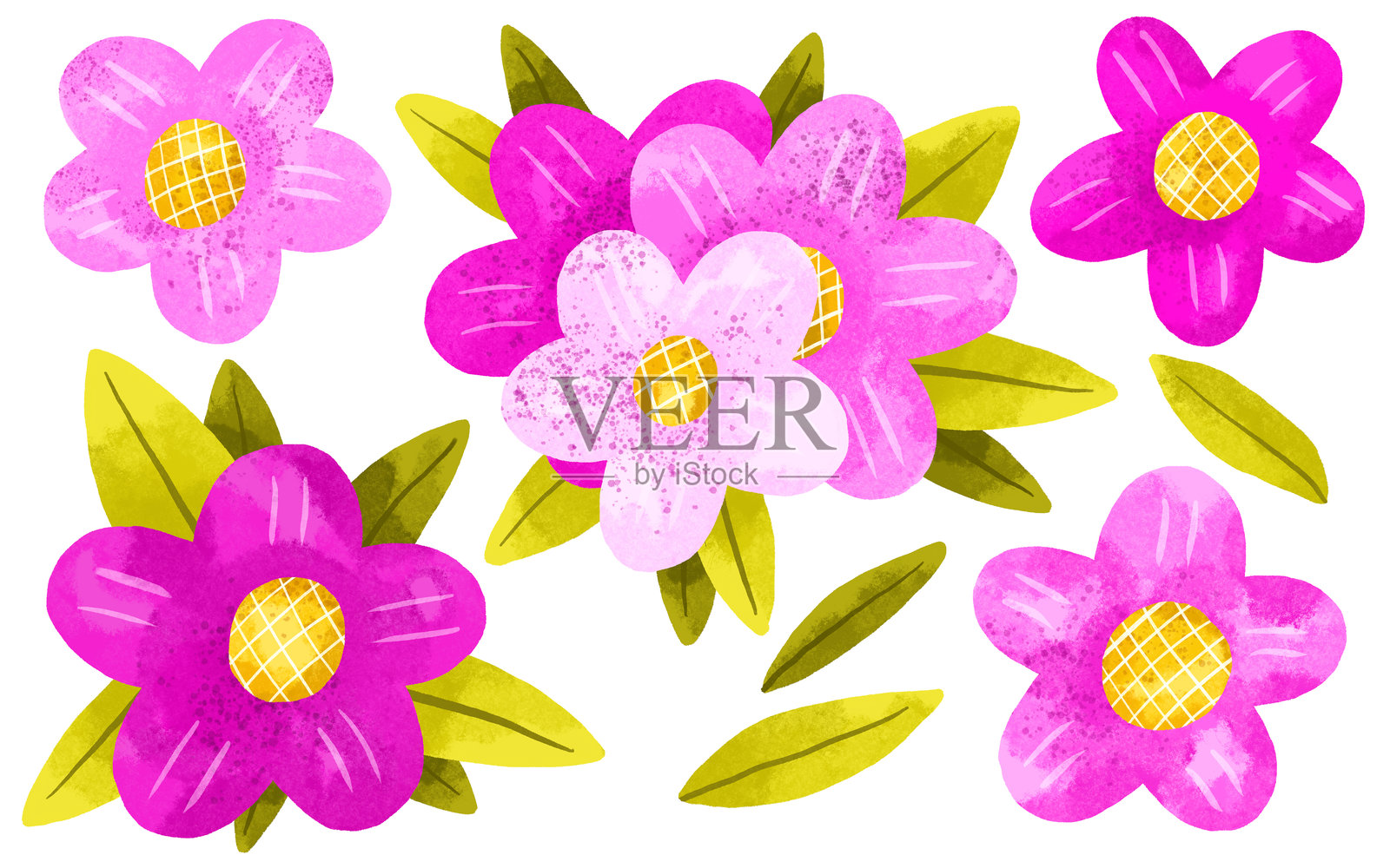 一组盛开的粉红色花朵和叶子。手绘插图在孤立的背景插画图片素材