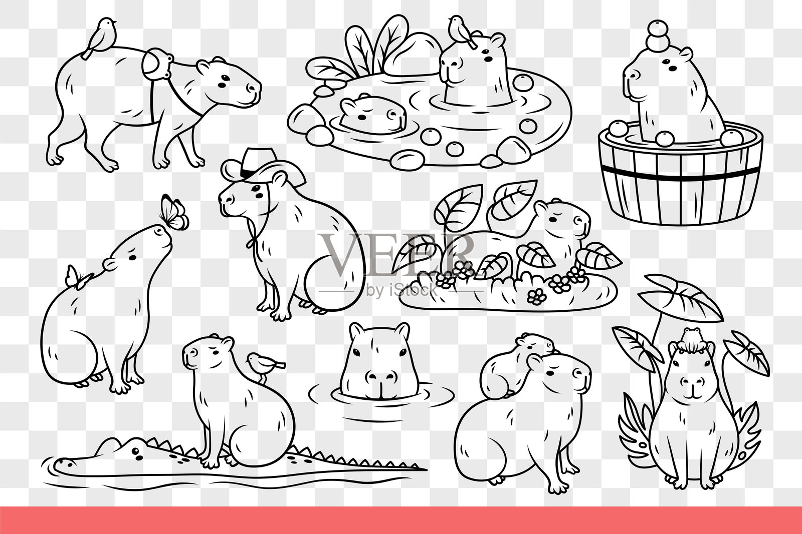 Copybara动物坐在草地上,在河里游泳或骑鳄鱼。手绘的涂鸦。插画图片素材