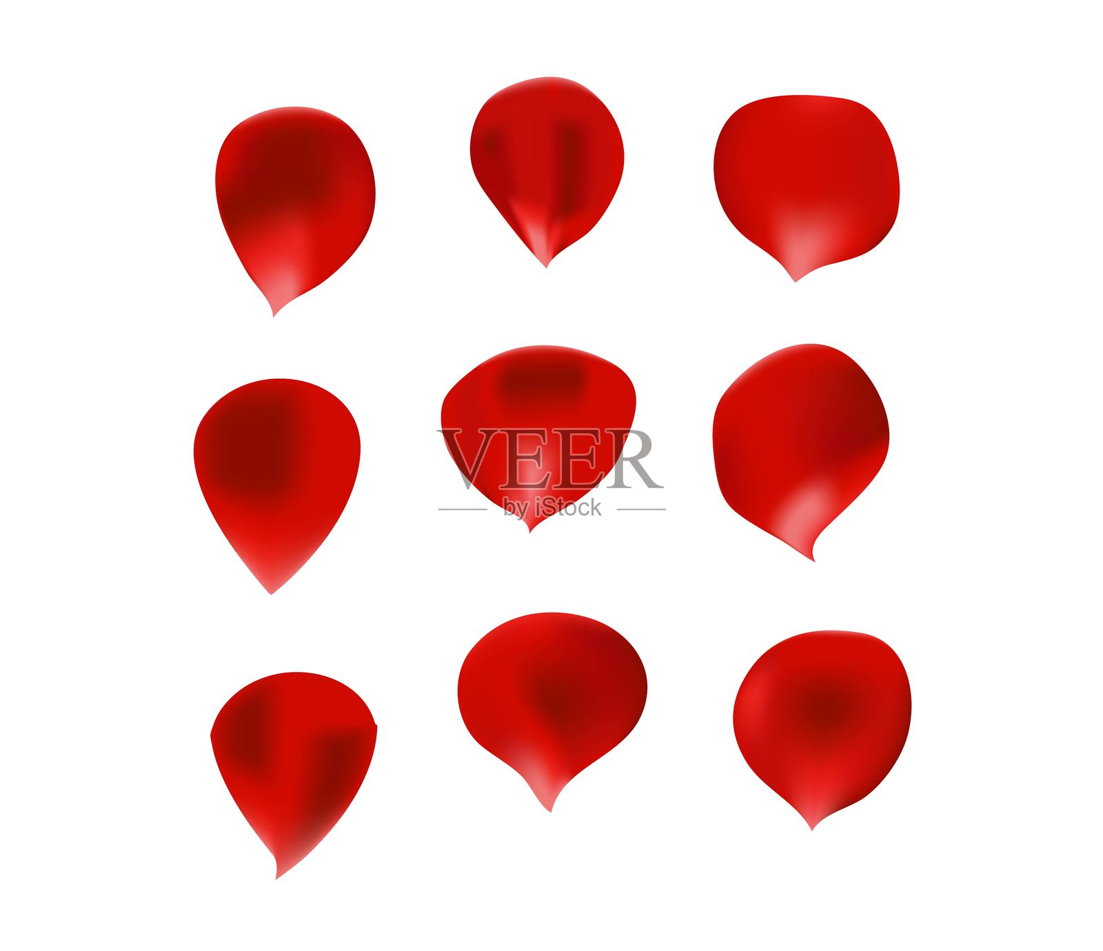 红玫瑰花瓣孤立在白色插画图片素材