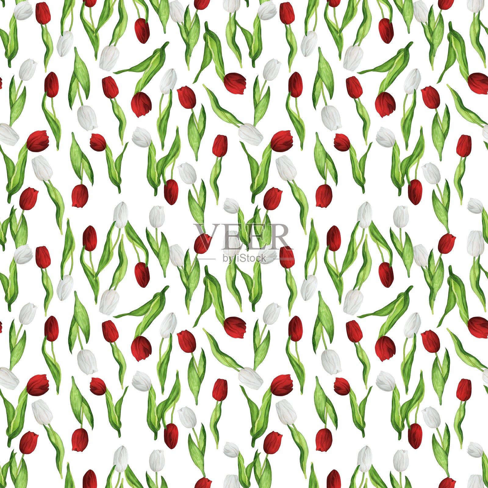 手绘水彩插图。无缝花卉图案与红色和白色的郁金香在随机顺序插画图片素材