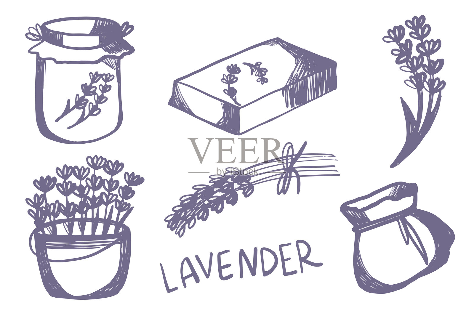 薰衣草花的一套孤立的图标与束和盆和肥皂插画图片素材