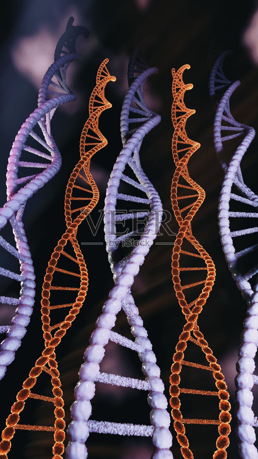 DNA螺旋结构的三维插图:科学和医学项目的生物分子细节照片摄影图片