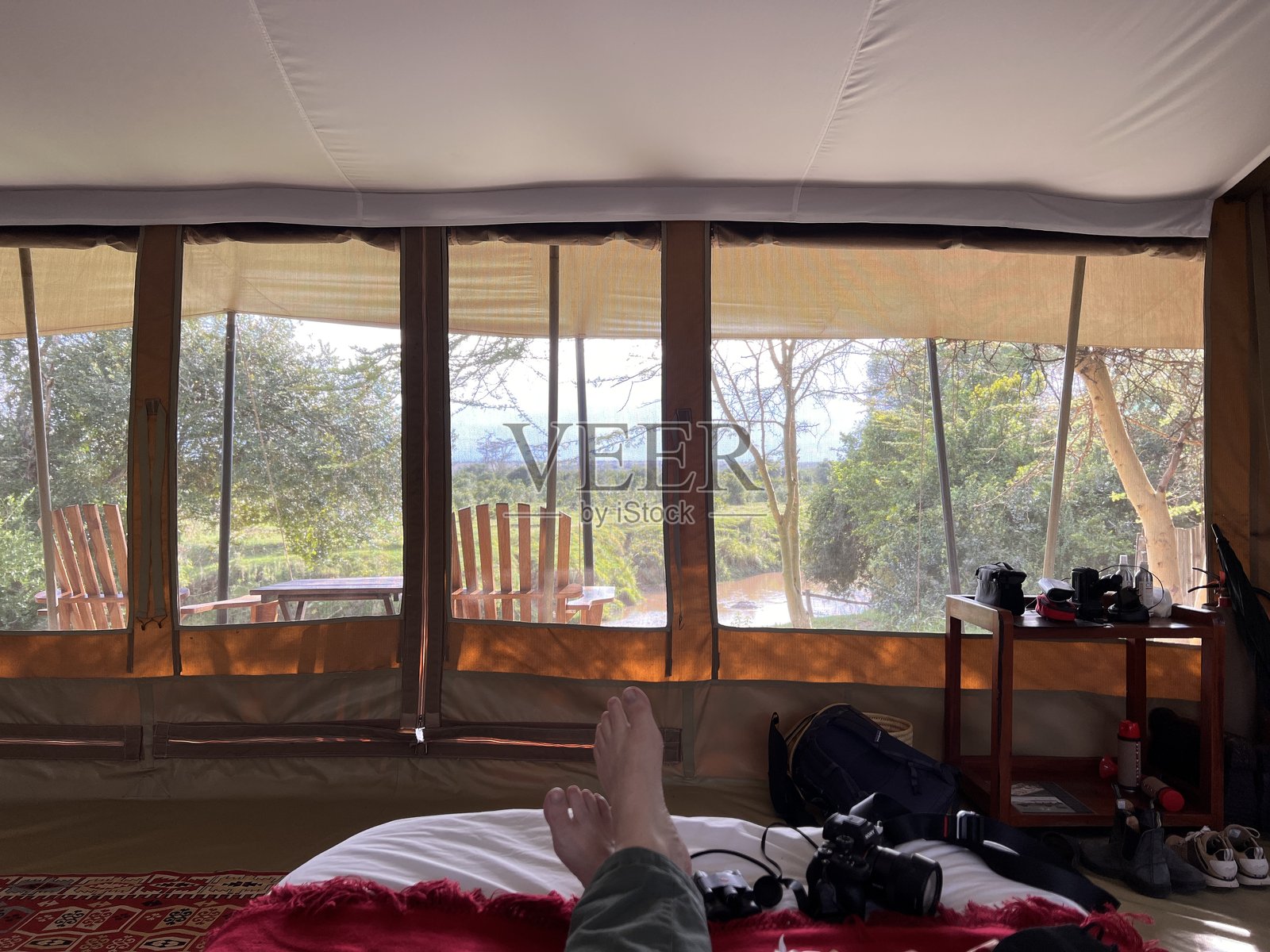 野生动物园帐篷照片摄影图片