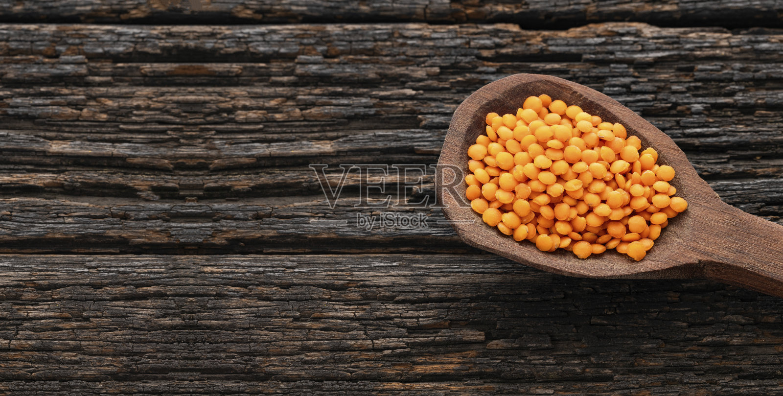 勺子里装着生红扁豆 - 细小扁豆。照片摄影图片