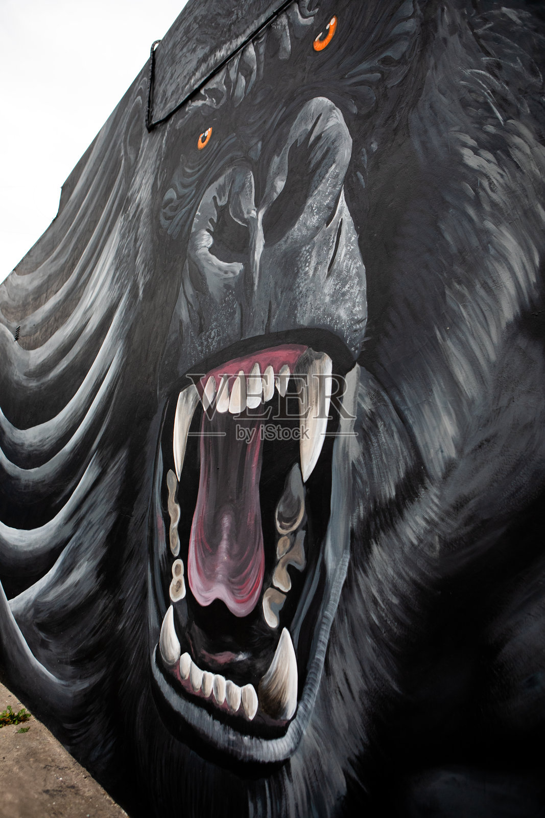 由两位艺术家创作的巨型大猩猩壁画 - 系列作品的一部分照片摄影图片