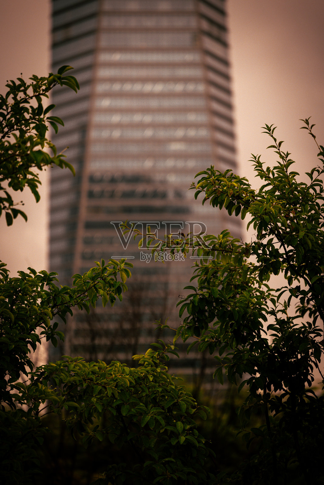 城市自然与摩天大楼背景照片摄影图片