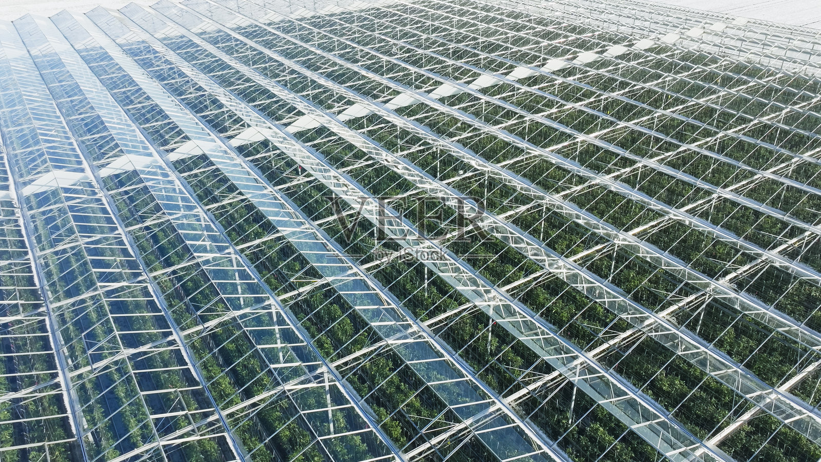 雪冬景观中的宽敞温室照片摄影图片