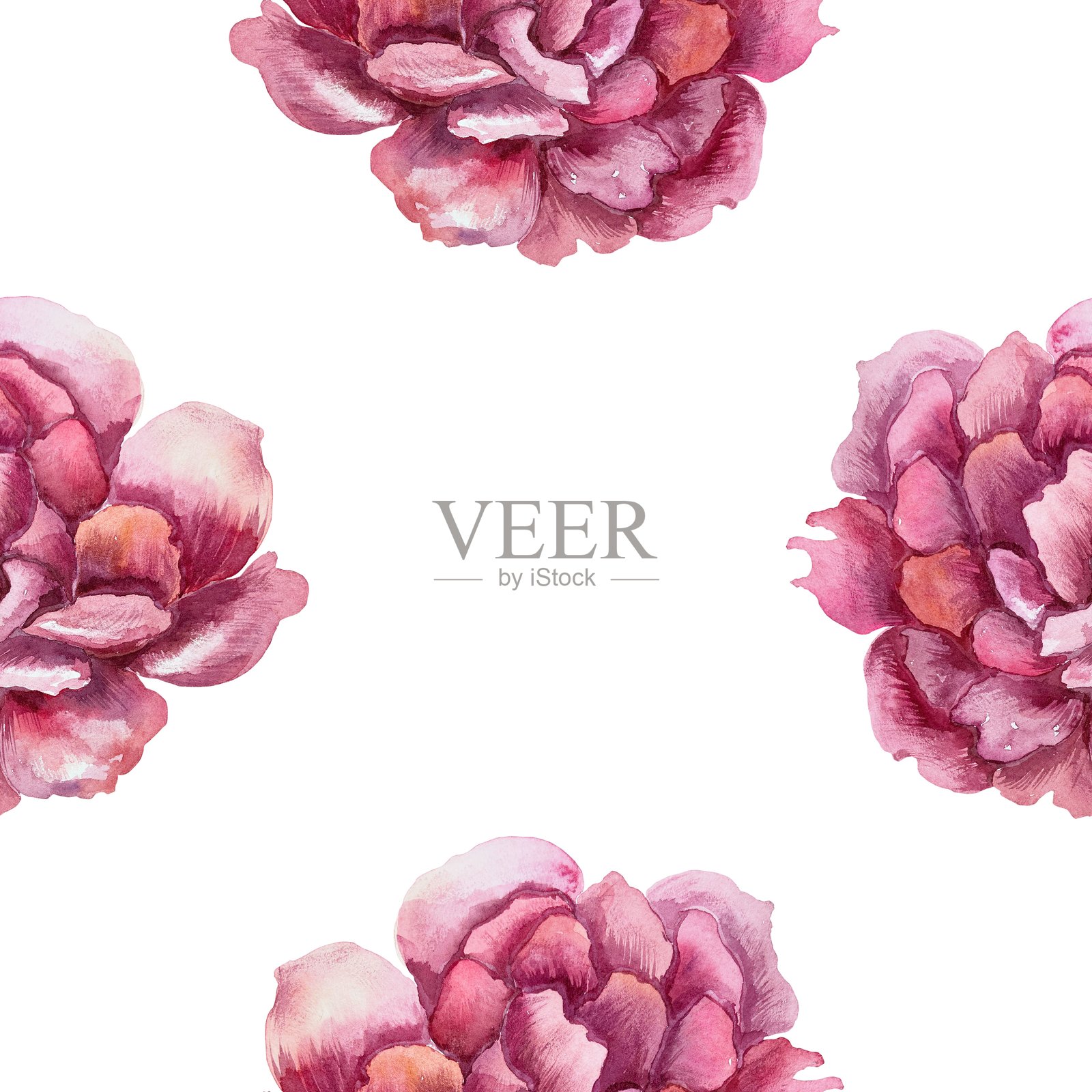 丰盛的深红色牡丹花。无缝花卉图案。水彩插图,背景为白色。适用于包装纸、墙纸、纺织品和封面。插画图片素材