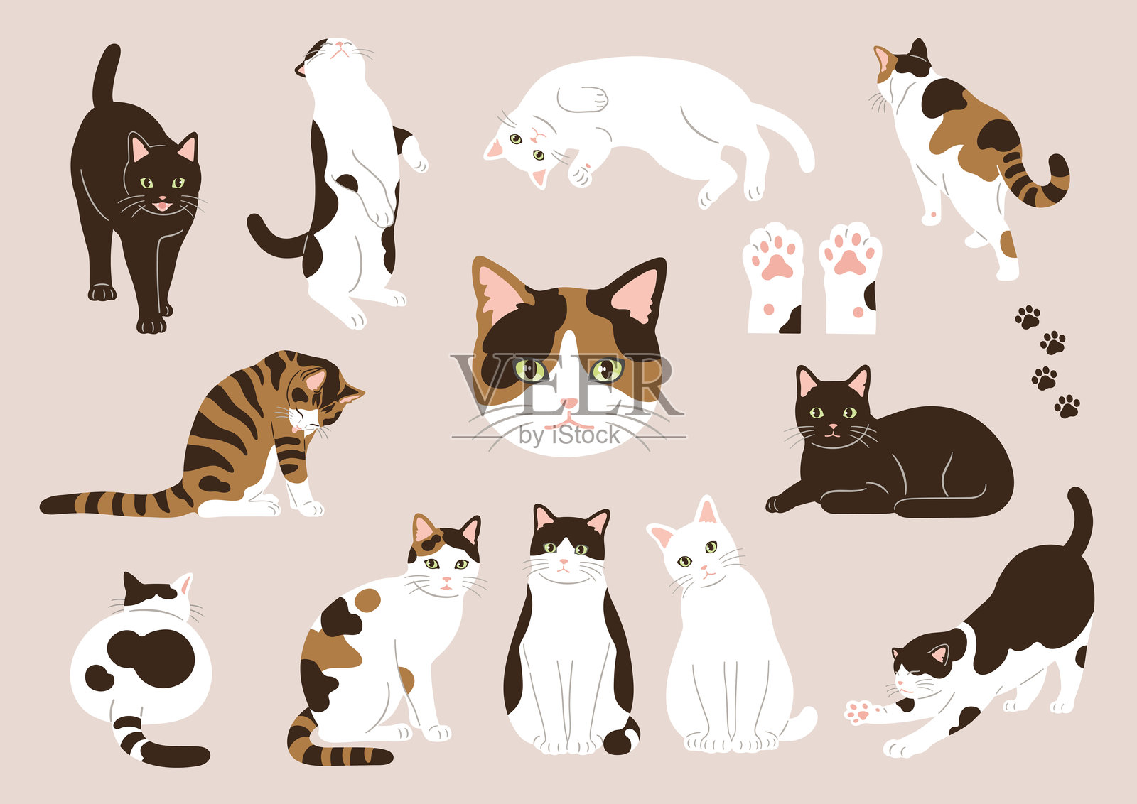 可爱的猫咪插图素材套件插画图片素材