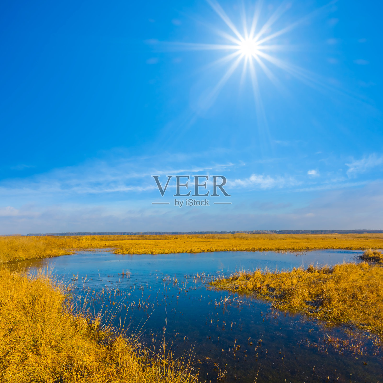 阳光明媚的日子里,草原上的小蓝湖照片摄影图片