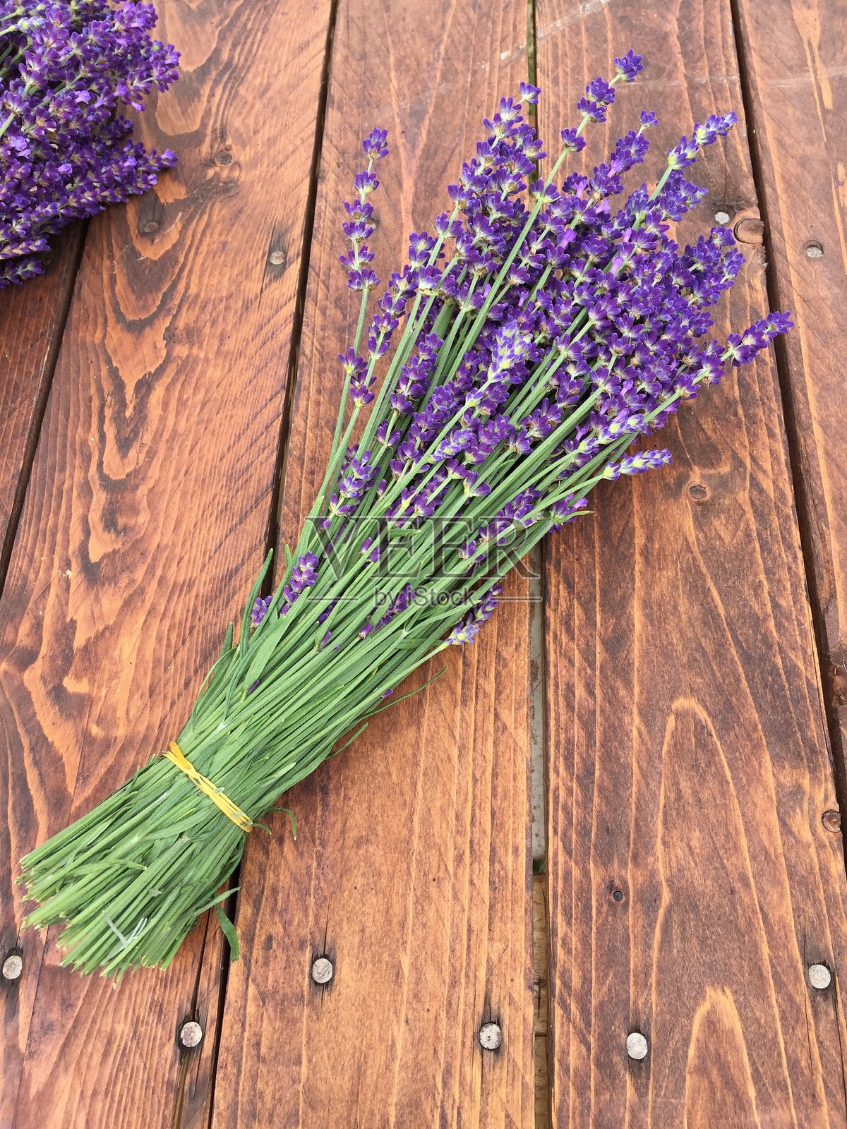 薰衣草照片摄影图片