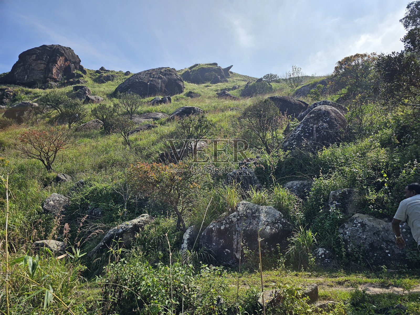 印度喀拉拉邦帕拉卡德山中的岩石谷壮丽景色。照片摄影图片