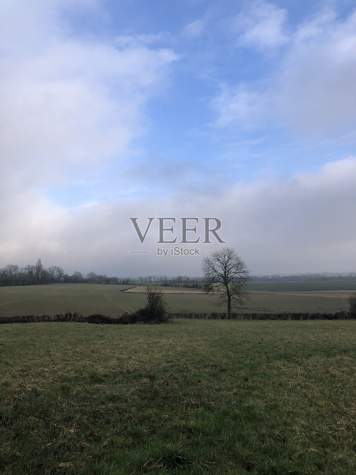 冬季法国萨尔特的绿色乡村风光照片摄影图片