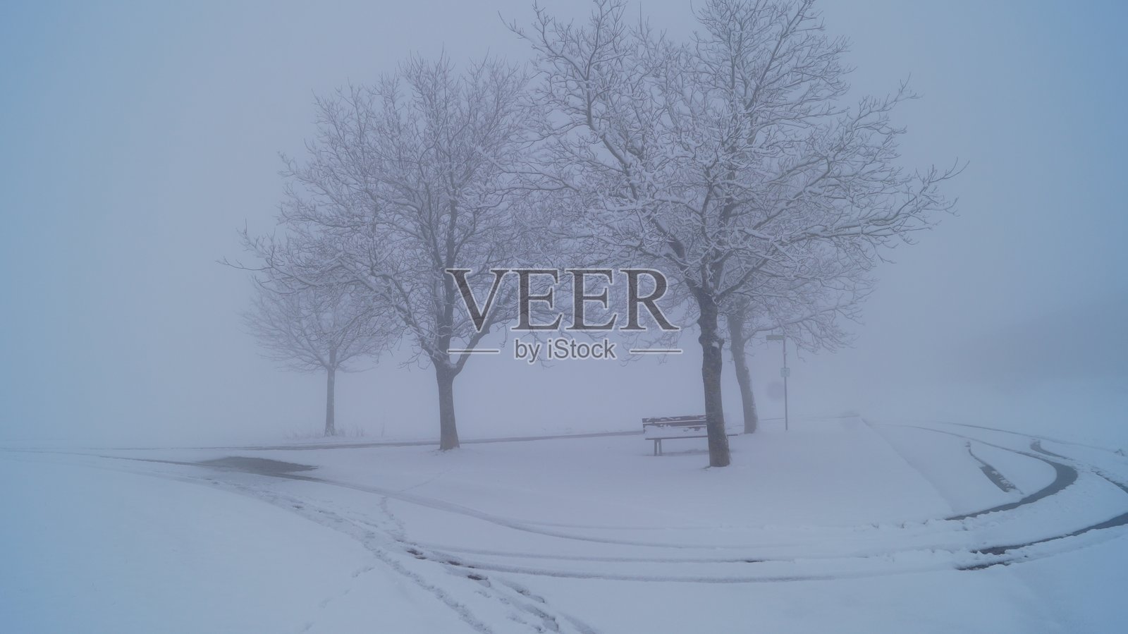 宁静的冬季景观被新雪覆盖,树木在雾霭中渐渐消失。照片摄影图片