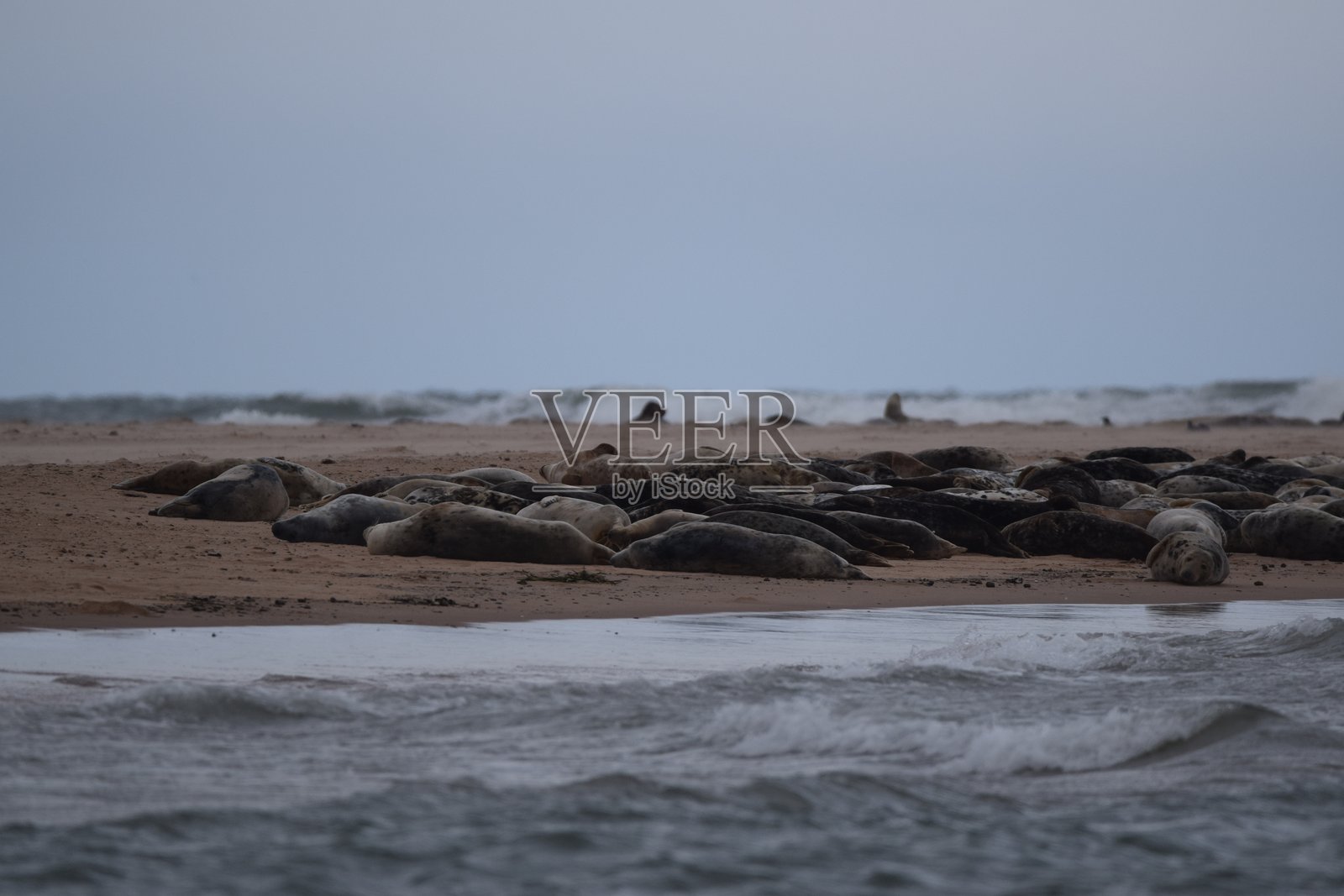 纽堡海滩照片摄影图片
