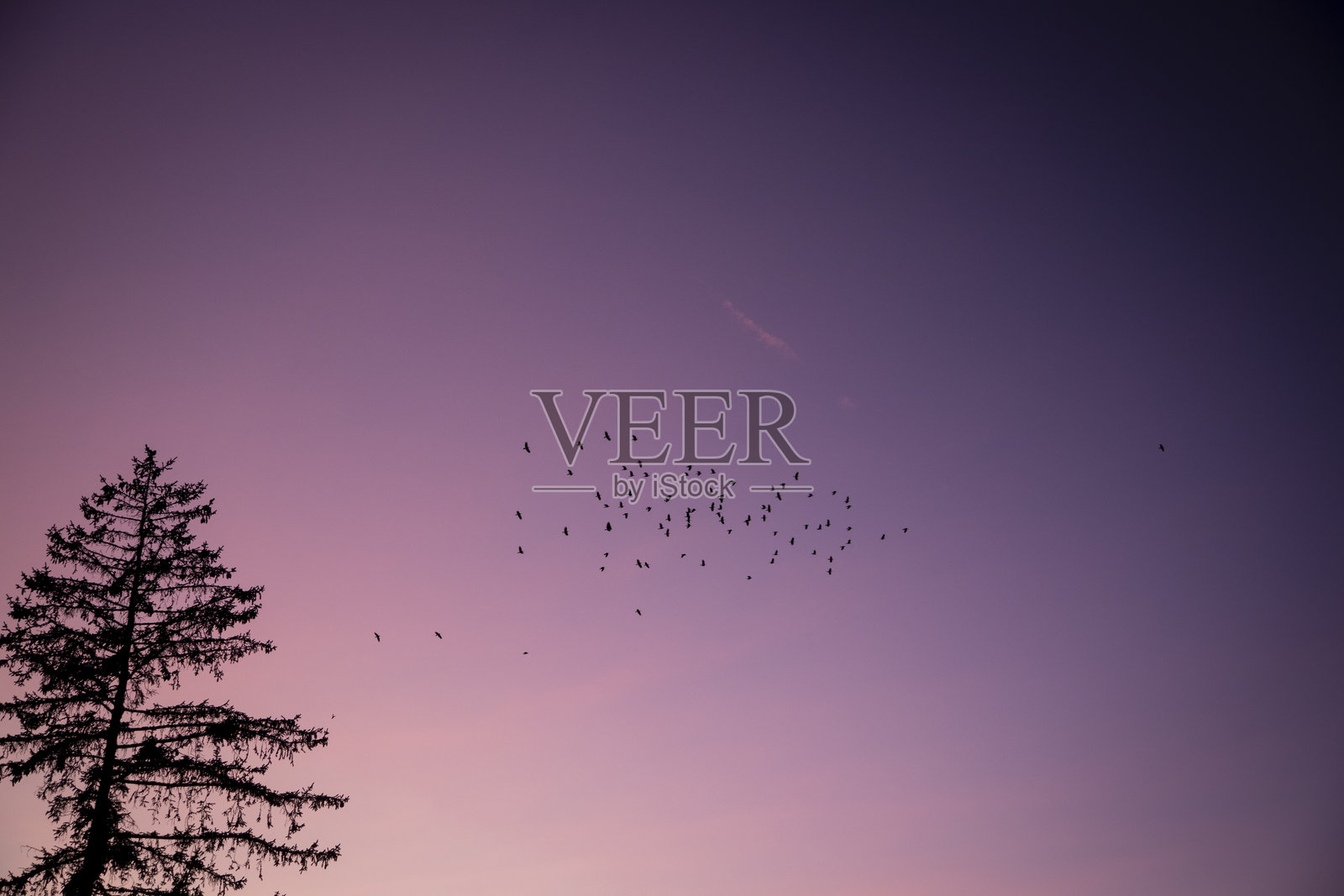 美丽的夜晚照片摄影图片