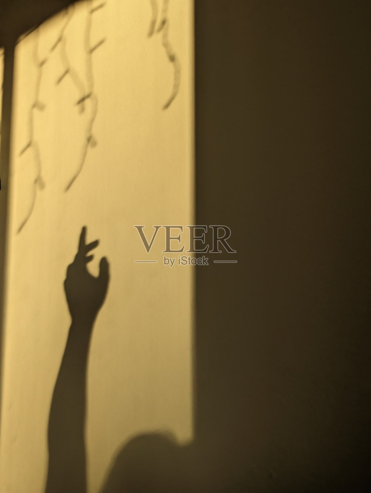 阴影照片摄影图片