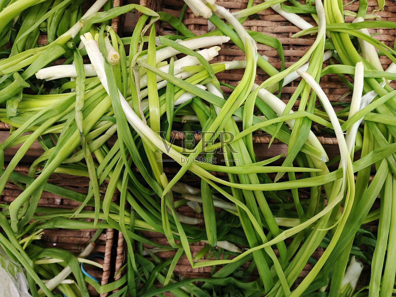 青葱照片摄影图片