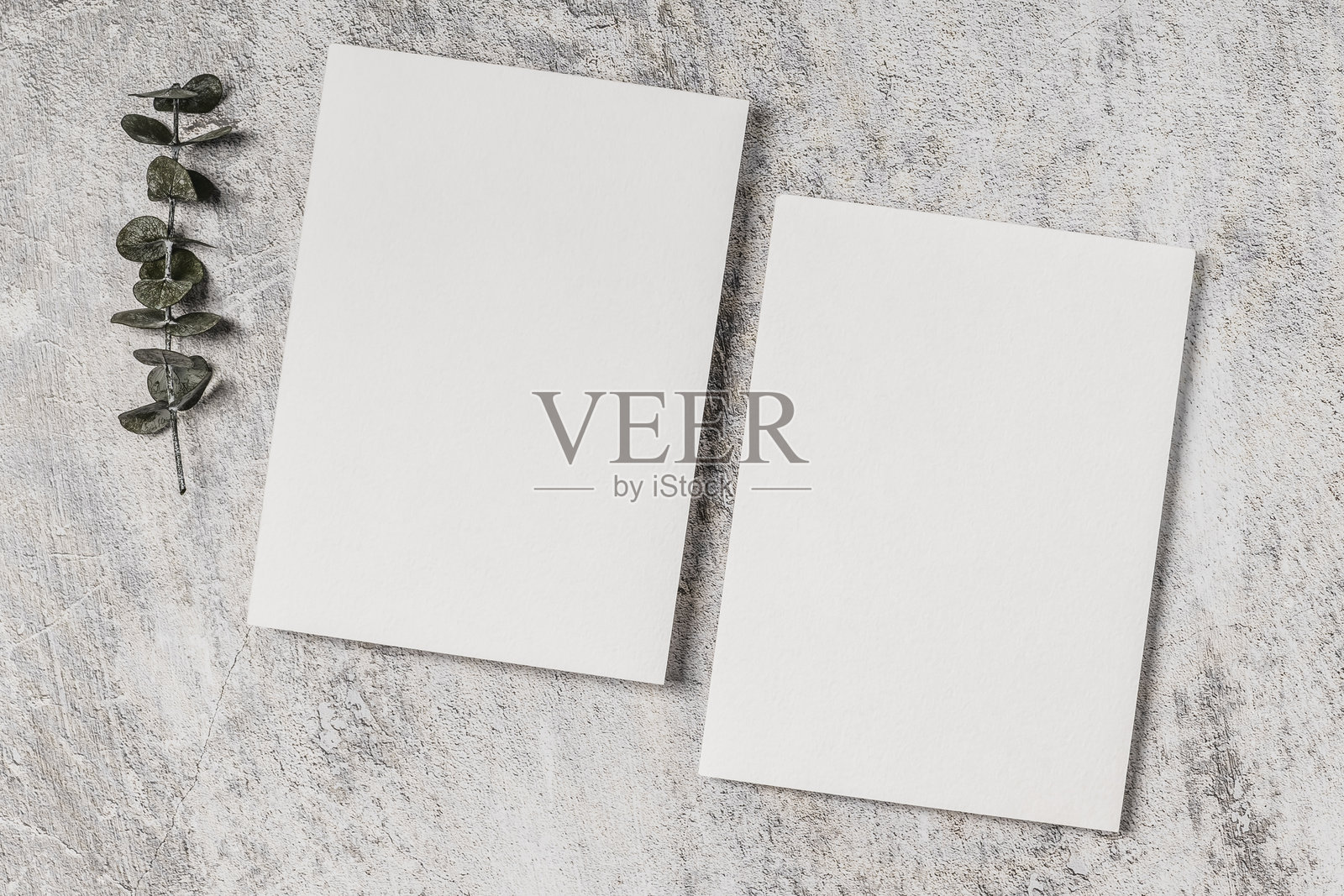 两张空白卡片和桉树枝放在混凝土背景上。婚礼邀请函,贺卡样板。照片摄影图片
