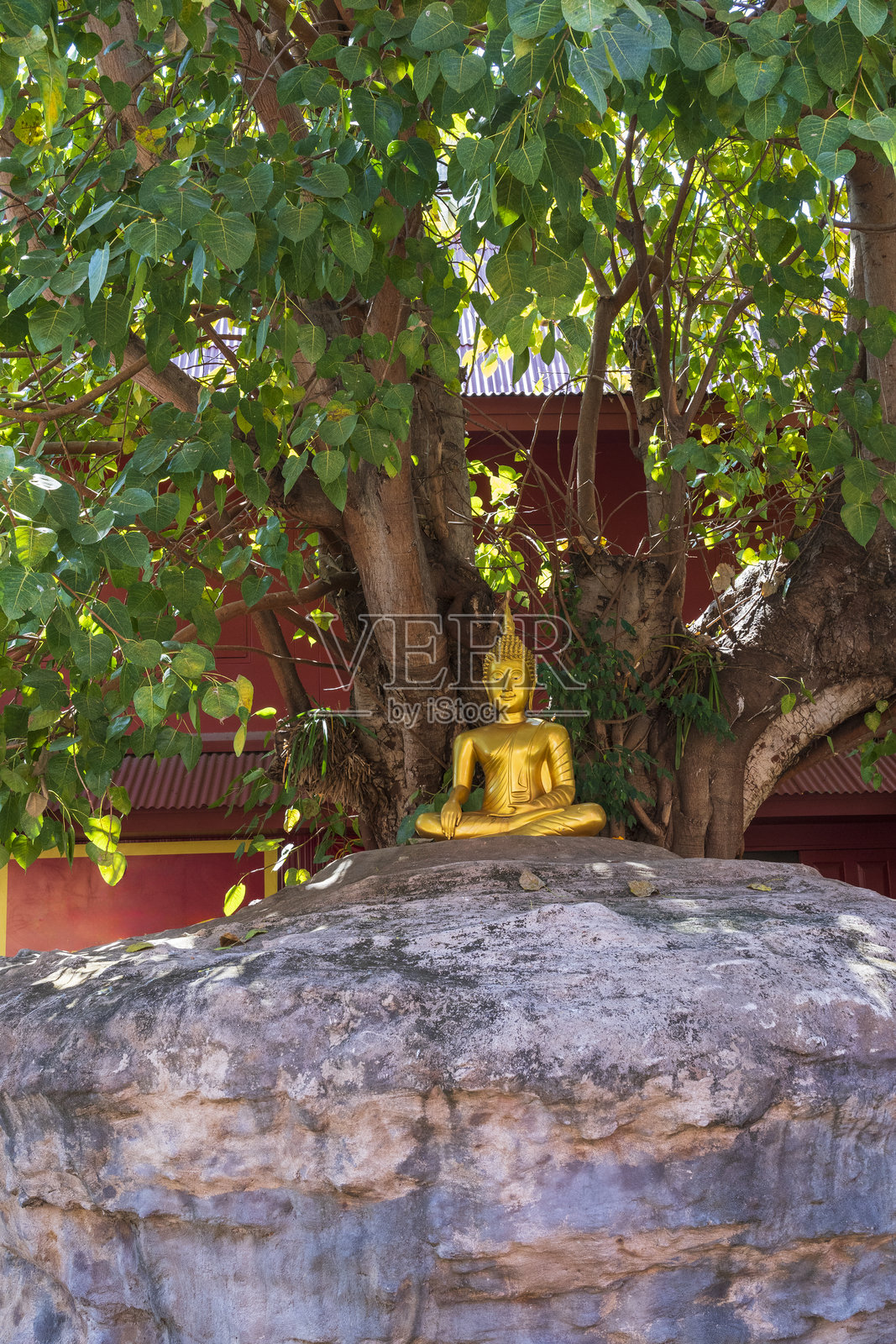 泰国切迪卢昂寺的佛像照片摄影图片