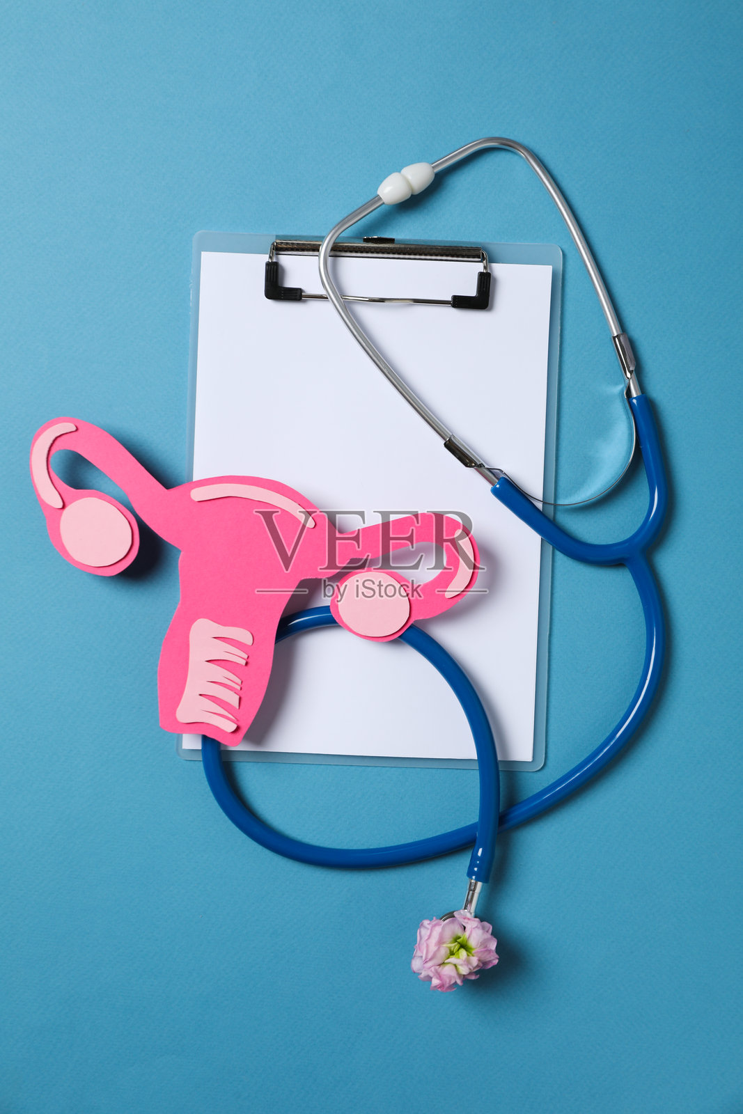 女性健康与女性医疗概念,带有子宫图案照片摄影图片