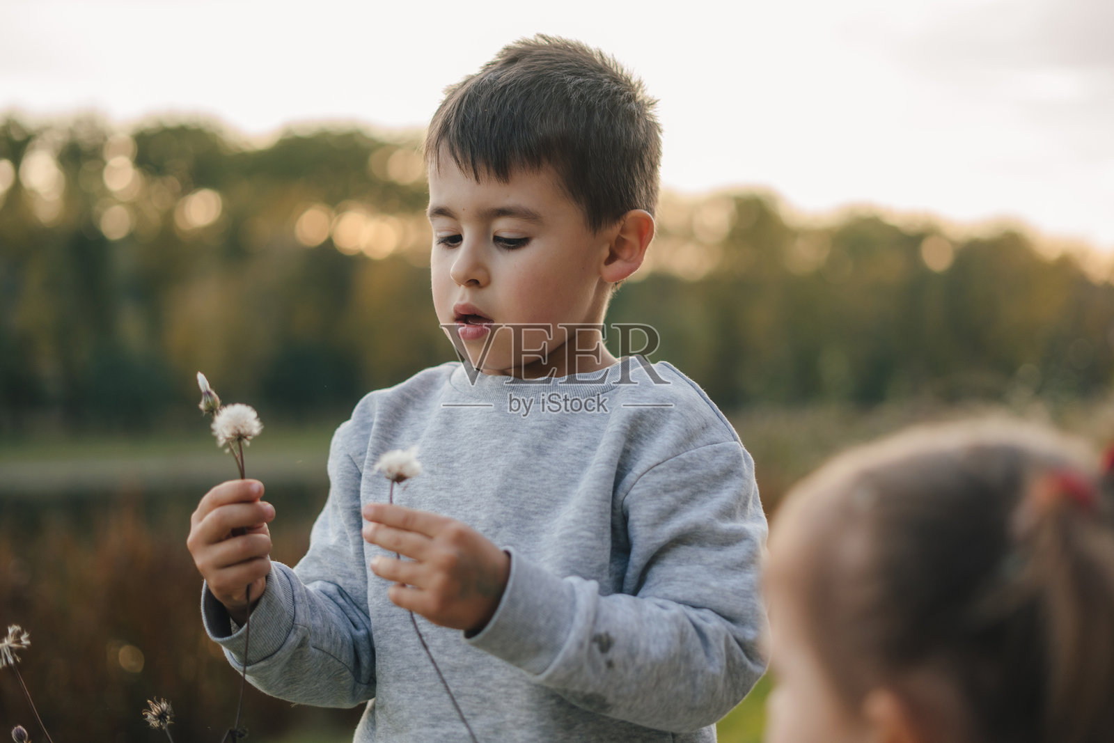 一个孩子在宁静的户外环境中快乐地探索自然,玩弄蒲公英。照片摄影图片