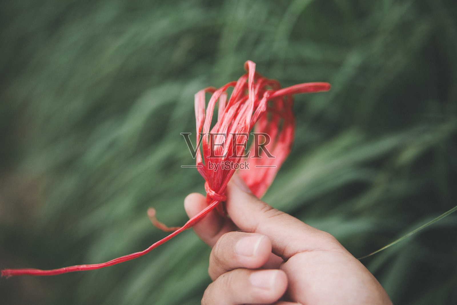 塑料绳照片摄影图片