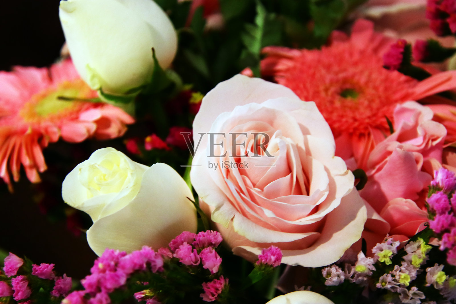 情人节的玫瑰照片摄影图片