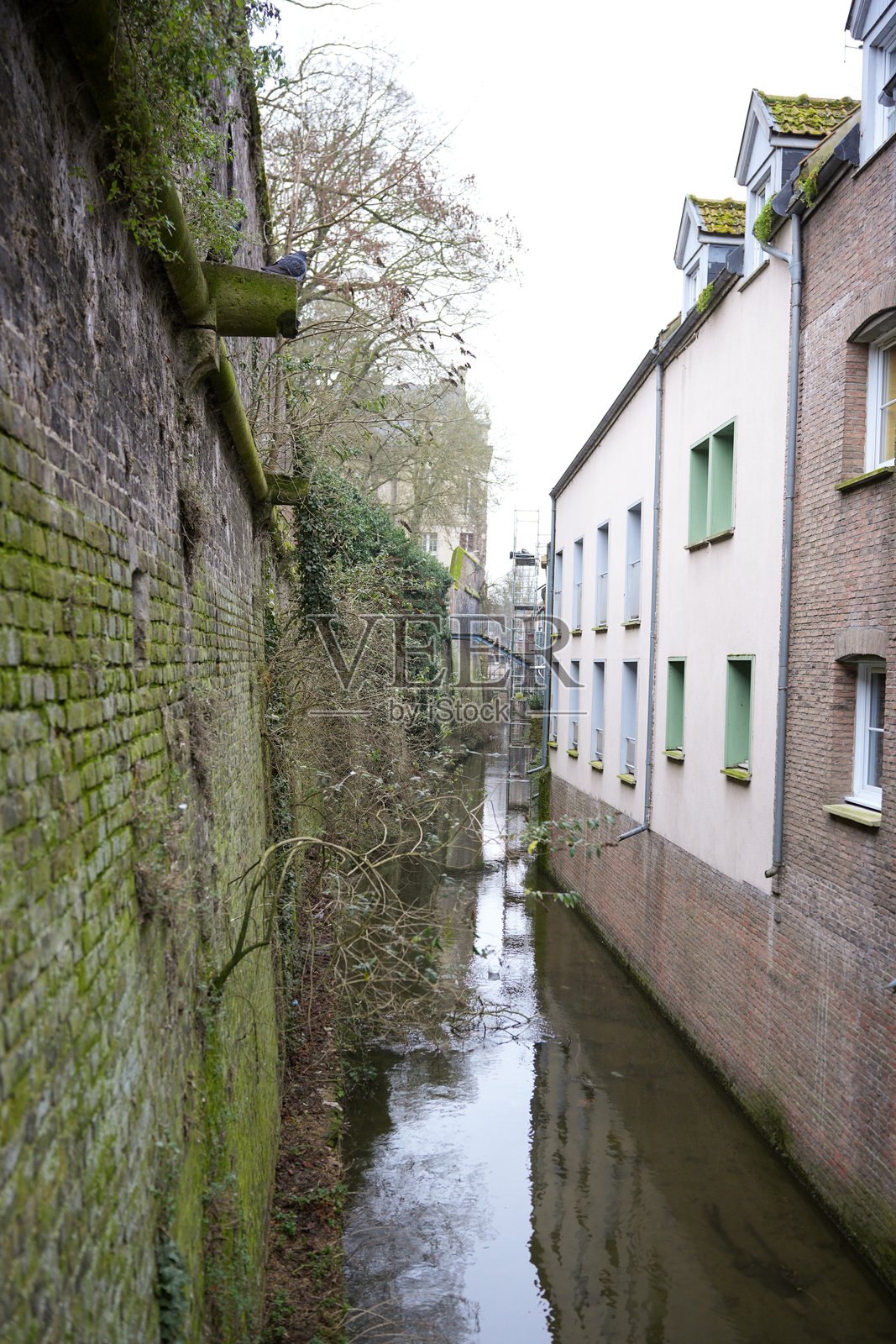 狭窄的运河与长满常春藤的砖墙照片摄影图片