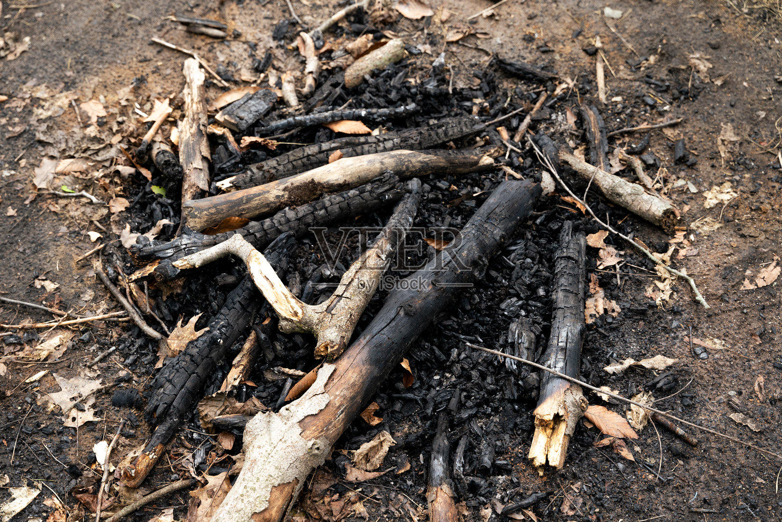 篝火留下的烧焦木头和灰烬照片摄影图片