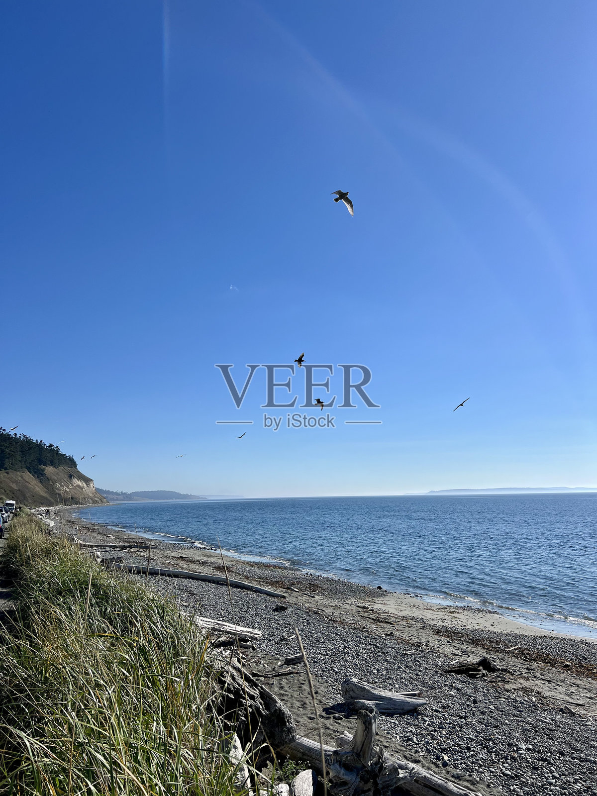 惠德比岛的海滩照片摄影图片