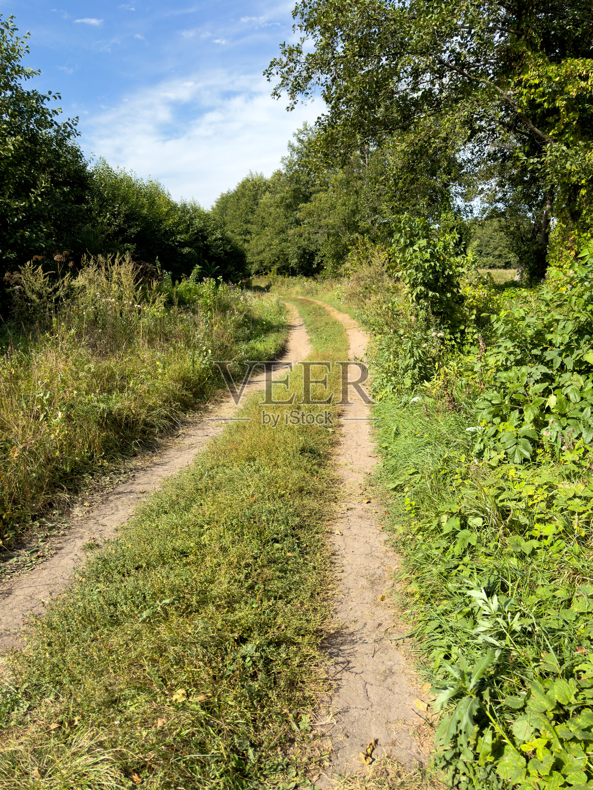 一条泥土路,背景有几棵树。照片摄影图片