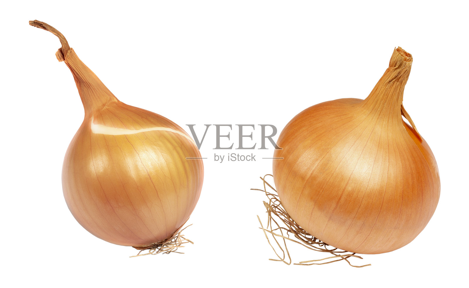 农业产品,白色背景上的新鲜洋葱照片摄影图片