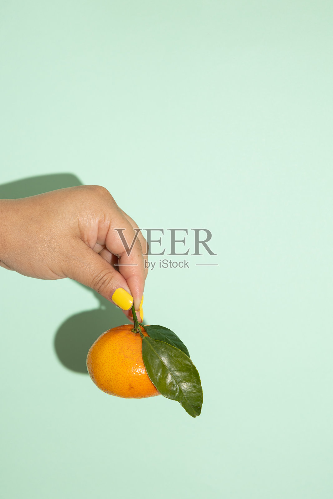 女性手指从橙子的茎部握住橙子的垂直图像,背景为浅绿色。照片摄影图片