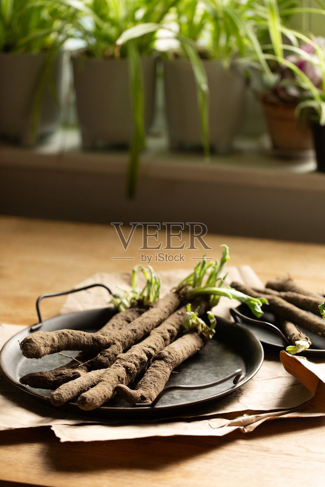 窗边桌子上的复古托盘里放着发芽的黑蒜根和花朵照片摄影图片