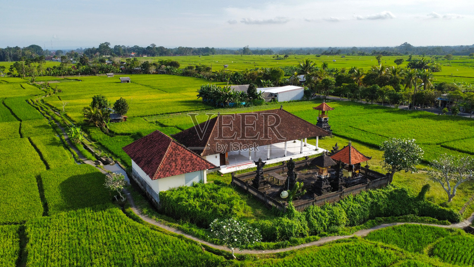 从高空俯瞰印尼巴厘岛著名的稻田照片摄影图片