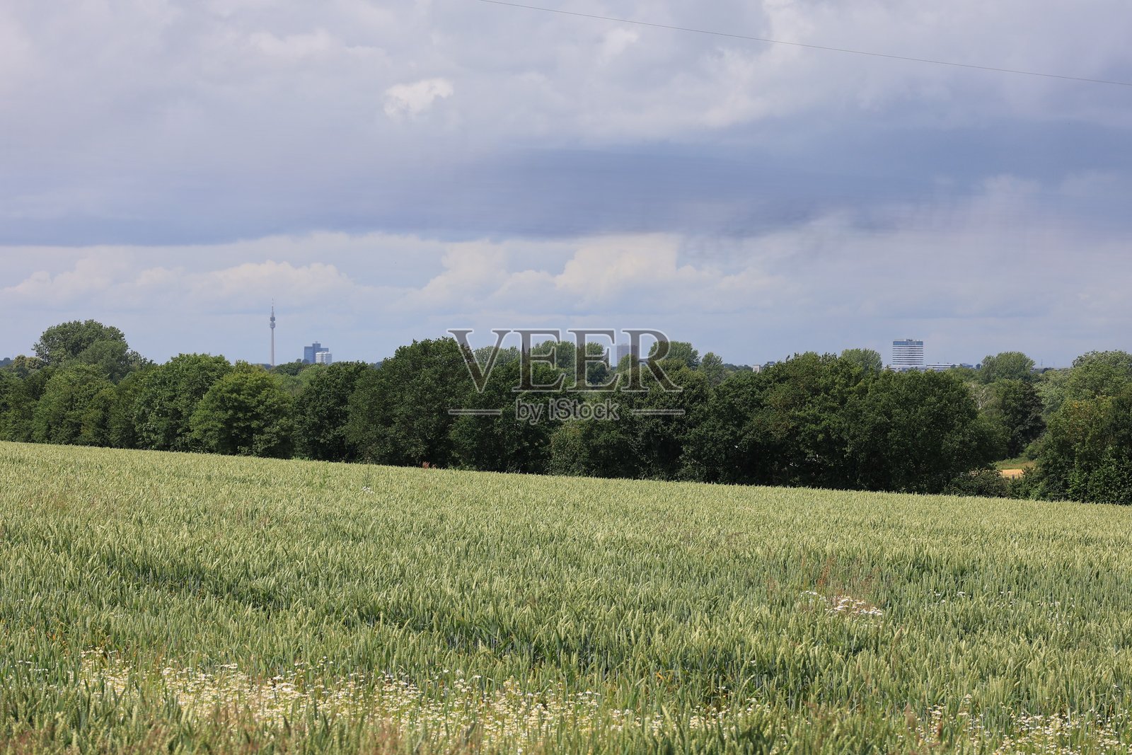 霍尔茨维克德市的埃姆舍河源头的夏天照片摄影图片