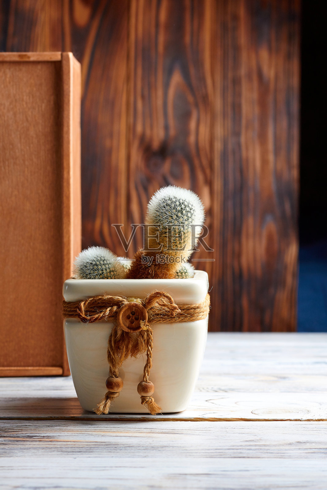 一个小仙人掌花在花盆里,背景是木质的。照片摄影图片