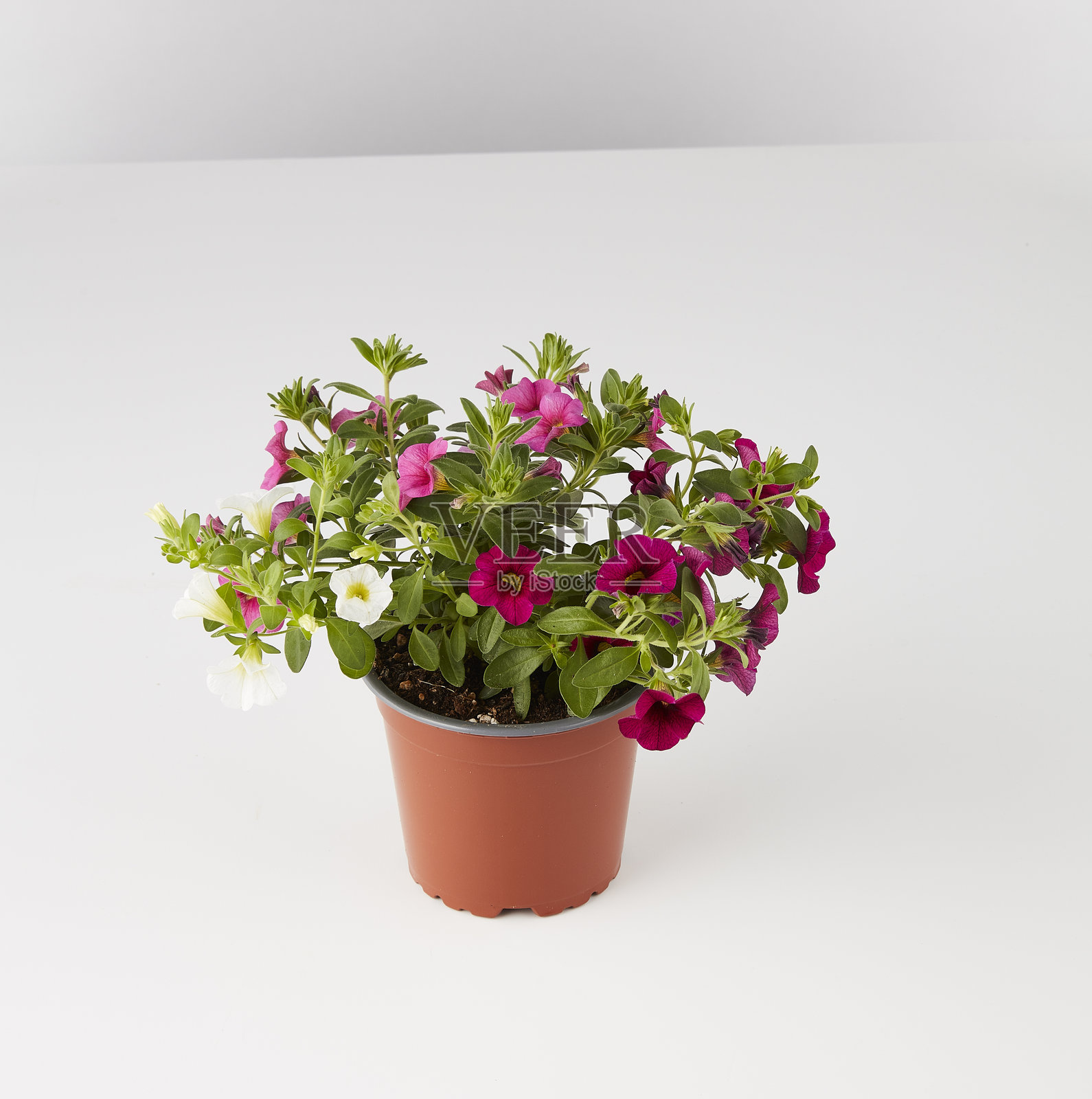 酒吧混音大师在锅中照片摄影图片