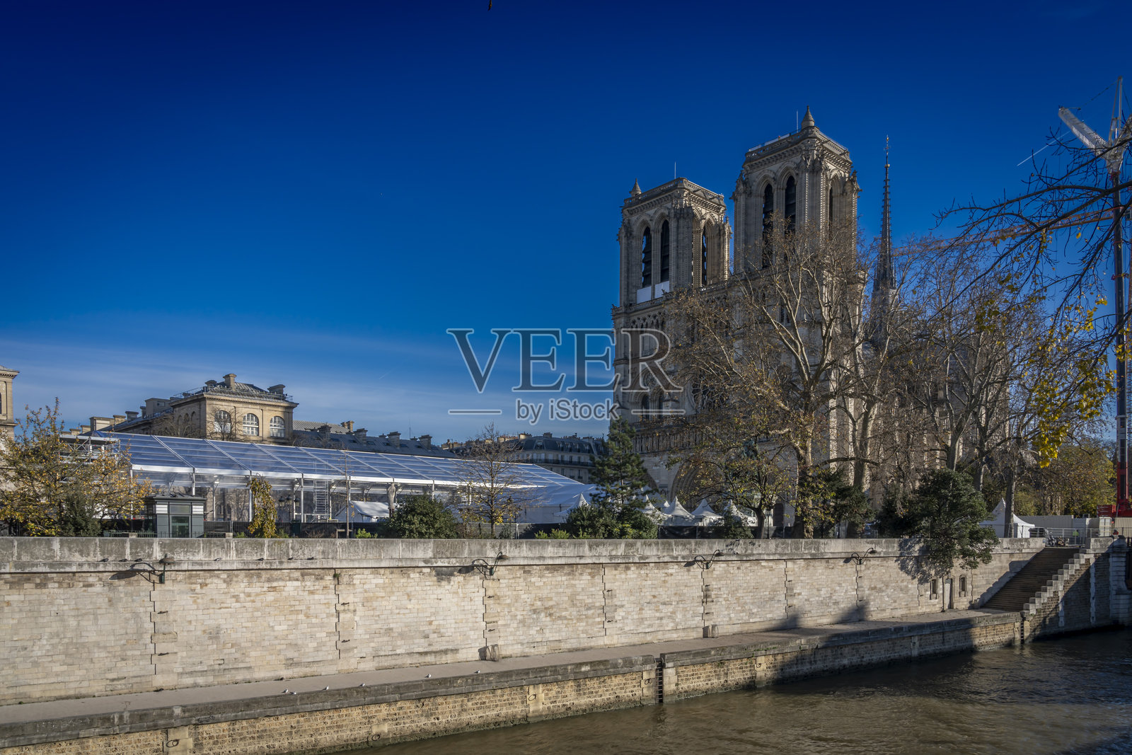 法国巴黎 - 2024年11月28日:巴黎圣母院。巴黎圣母院前广场的全景视图照片摄影图片