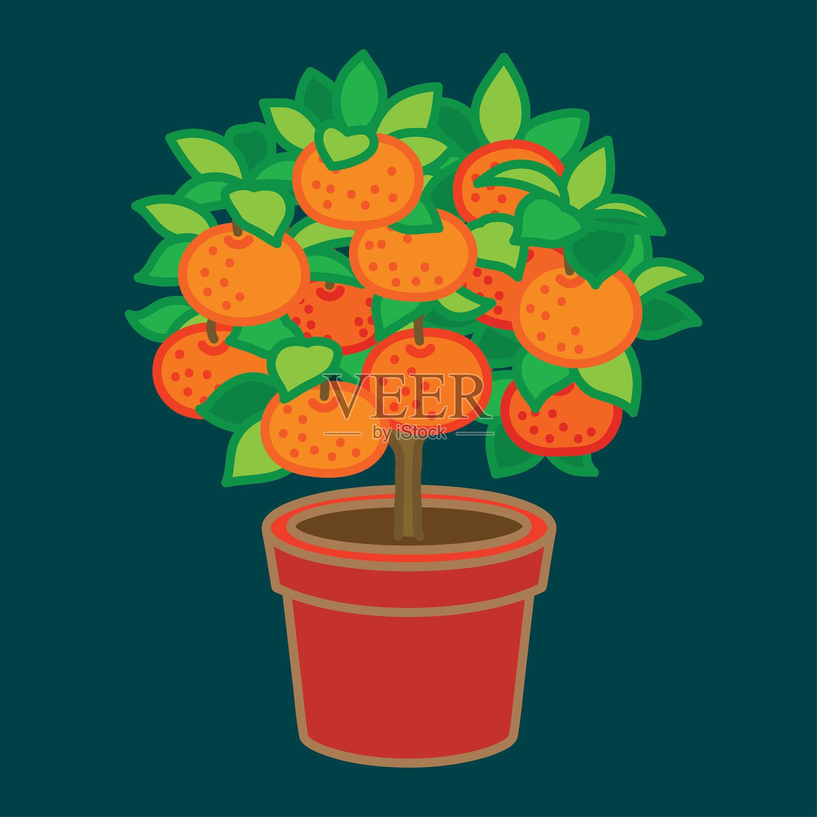 春节的吉祥花卉和水果插画图片素材